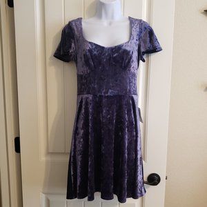 B. Darlin Iris Purple Velvet  Dress NWT